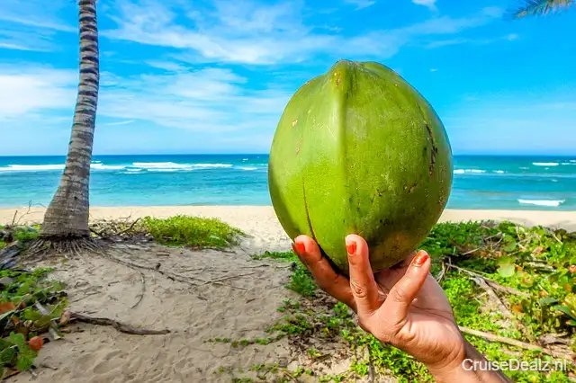 18 daagse Afrika cruise met de Voyager of the Seas