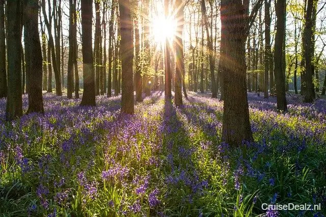 impressie Costa Serena