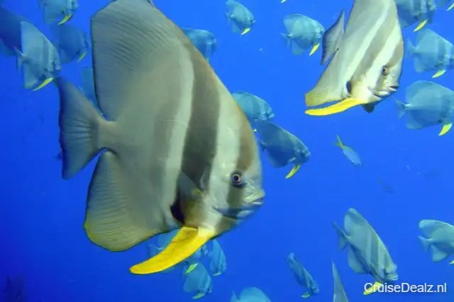 impressie Mein Schiff Relax