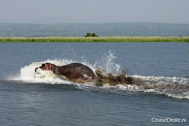 MSC Musica impressie