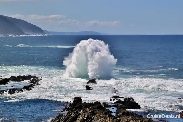 MSC Musica impressie