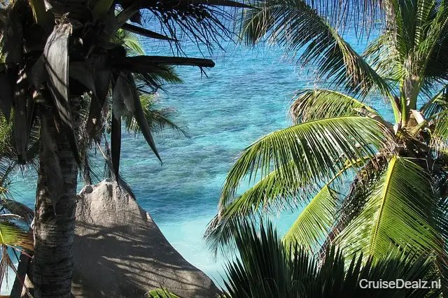 Mein Schiff Relax impressie