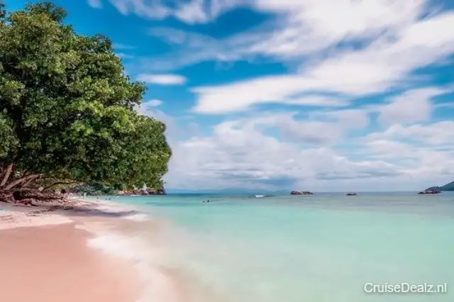 MSC Musica impressie