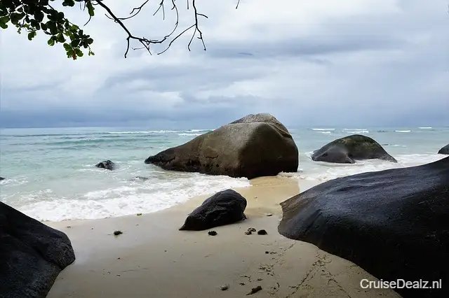 impressie MSC Musica