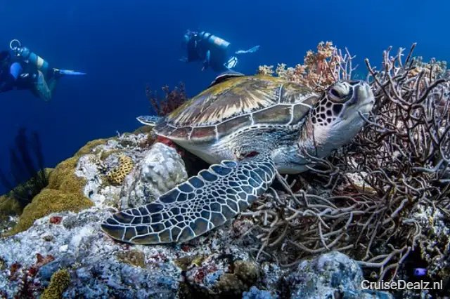 8 daagse Canarische Eilanden cruise met de MSC Musica