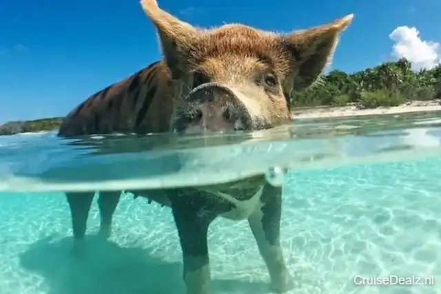 impressie Norwegian Getaway