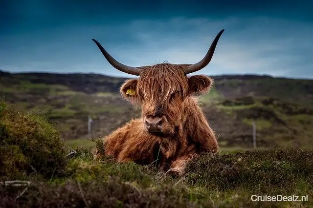 impressie Spectrum of the Seas
