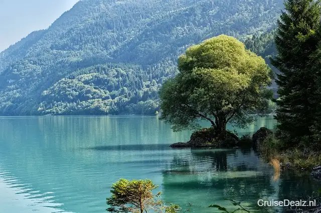 MSC Orchestra impressie