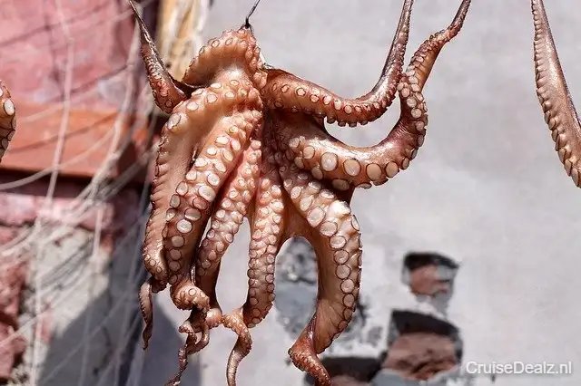 impressie Costa Pacifica