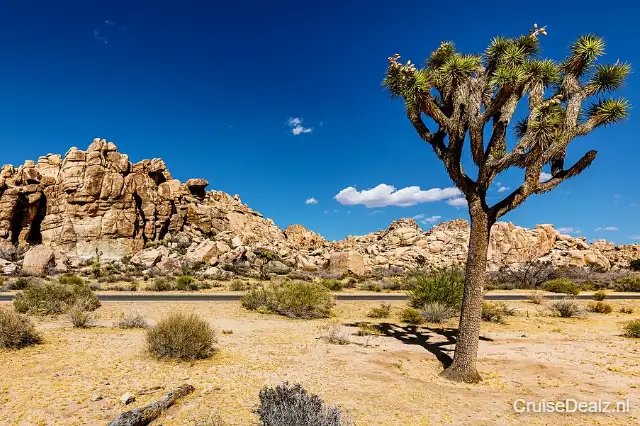 Disney Destiny impressie