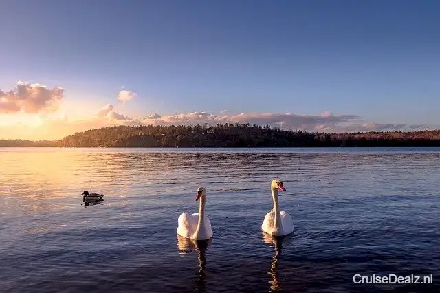 7 daagse Noord-Europa cruise met de MSC Poesia