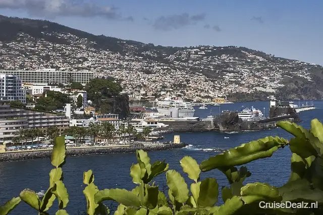 impressie Celebrity Edge