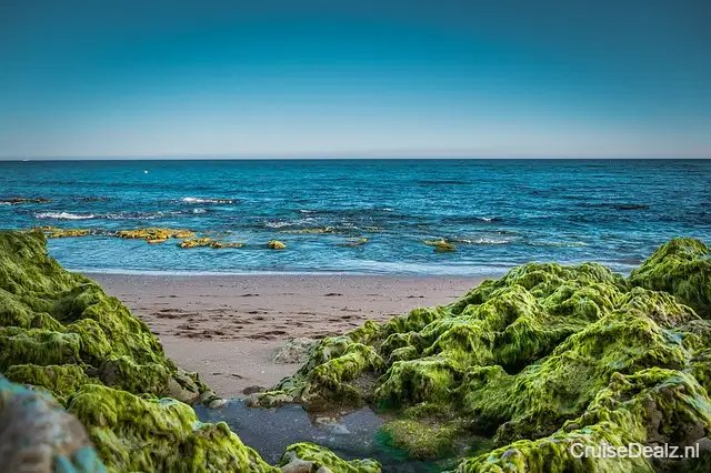 Mein Schiff 2 impressie