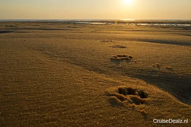 impressie Silver Ray