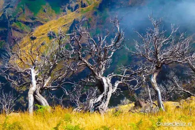 impressie Brilliance of the Seas