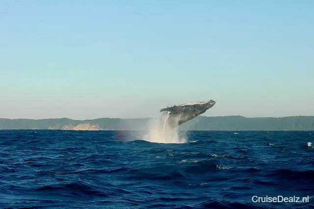 impressie Seabourn Pursuit