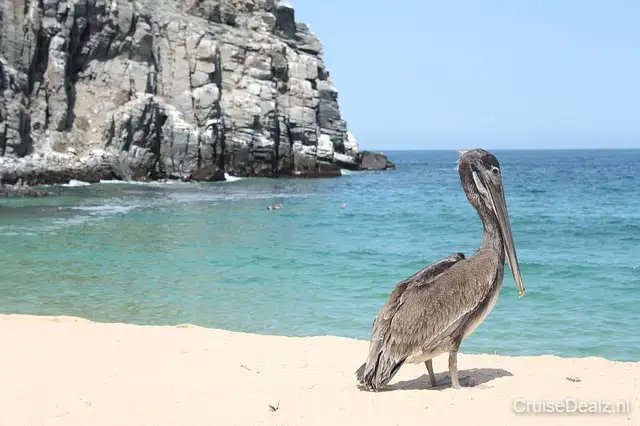 impressie Carnival Firenze