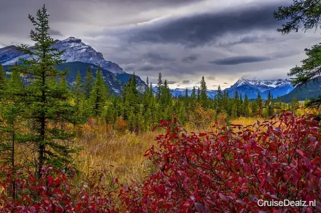 impressie Carnival Firenze